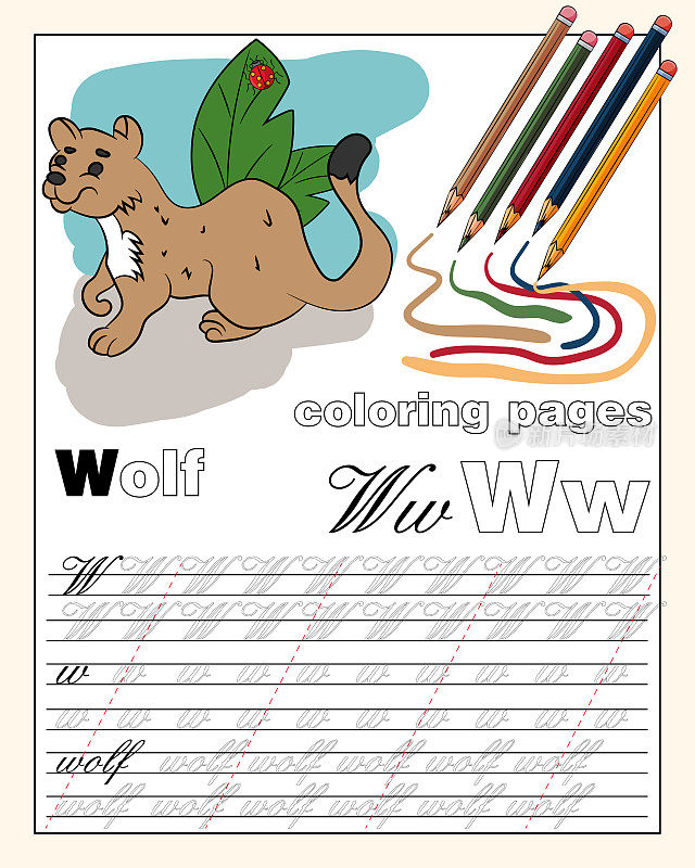 color_23_illustration of the English alphabet page with animal drawings with a line for writing English letters